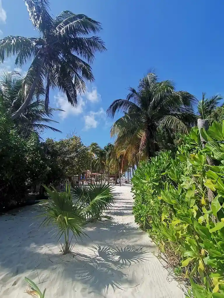 JT Village Campground - Lil Miss Daisy